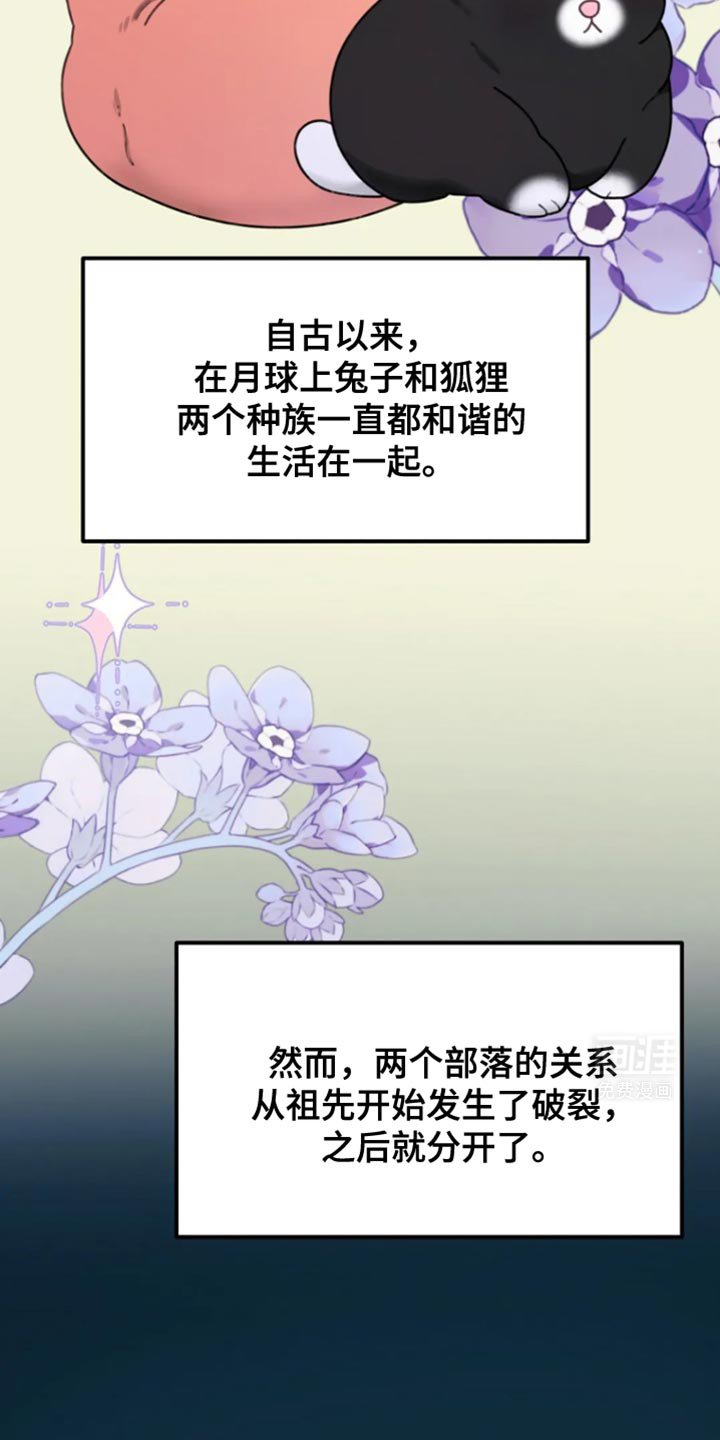 第15章：请你不要误会