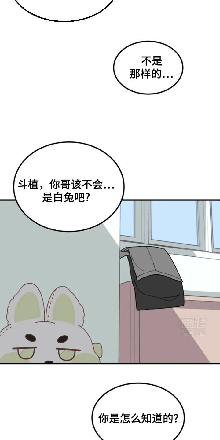 第16章：我好像知道了