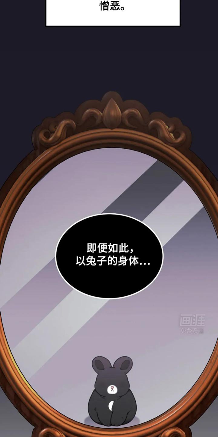 第17章：憎恶