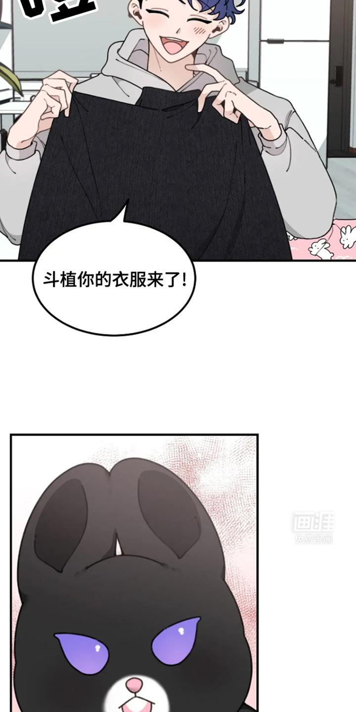 第17章：憎恶