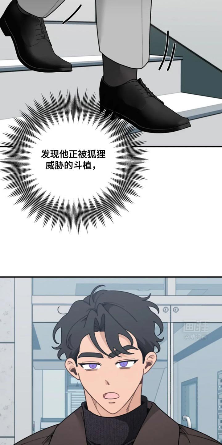第17章：憎恶