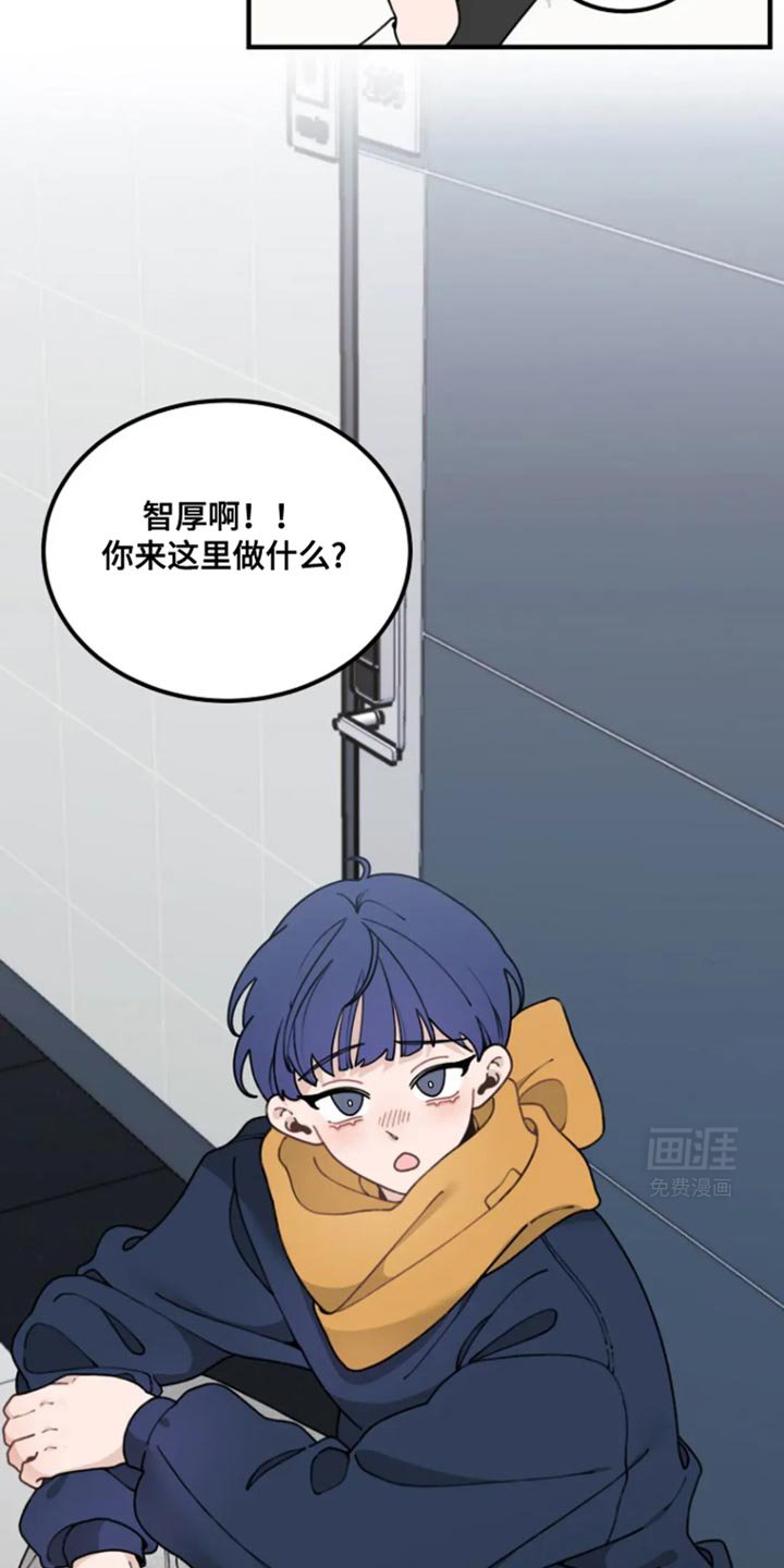 第18章：贴纸