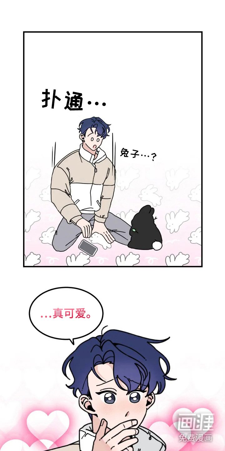 第2章：兔子