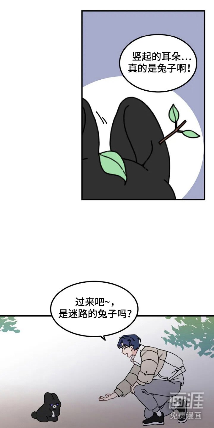 第2章：兔子