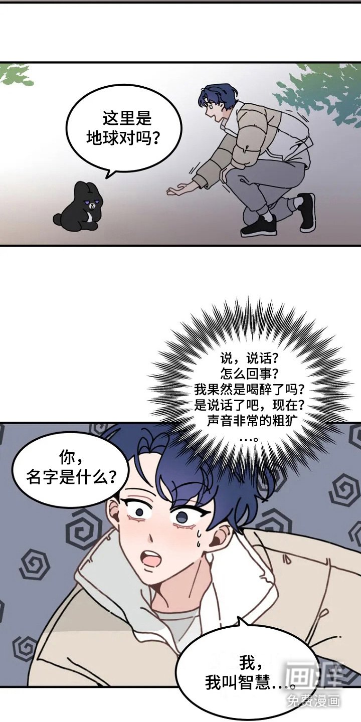 第2章：兔子