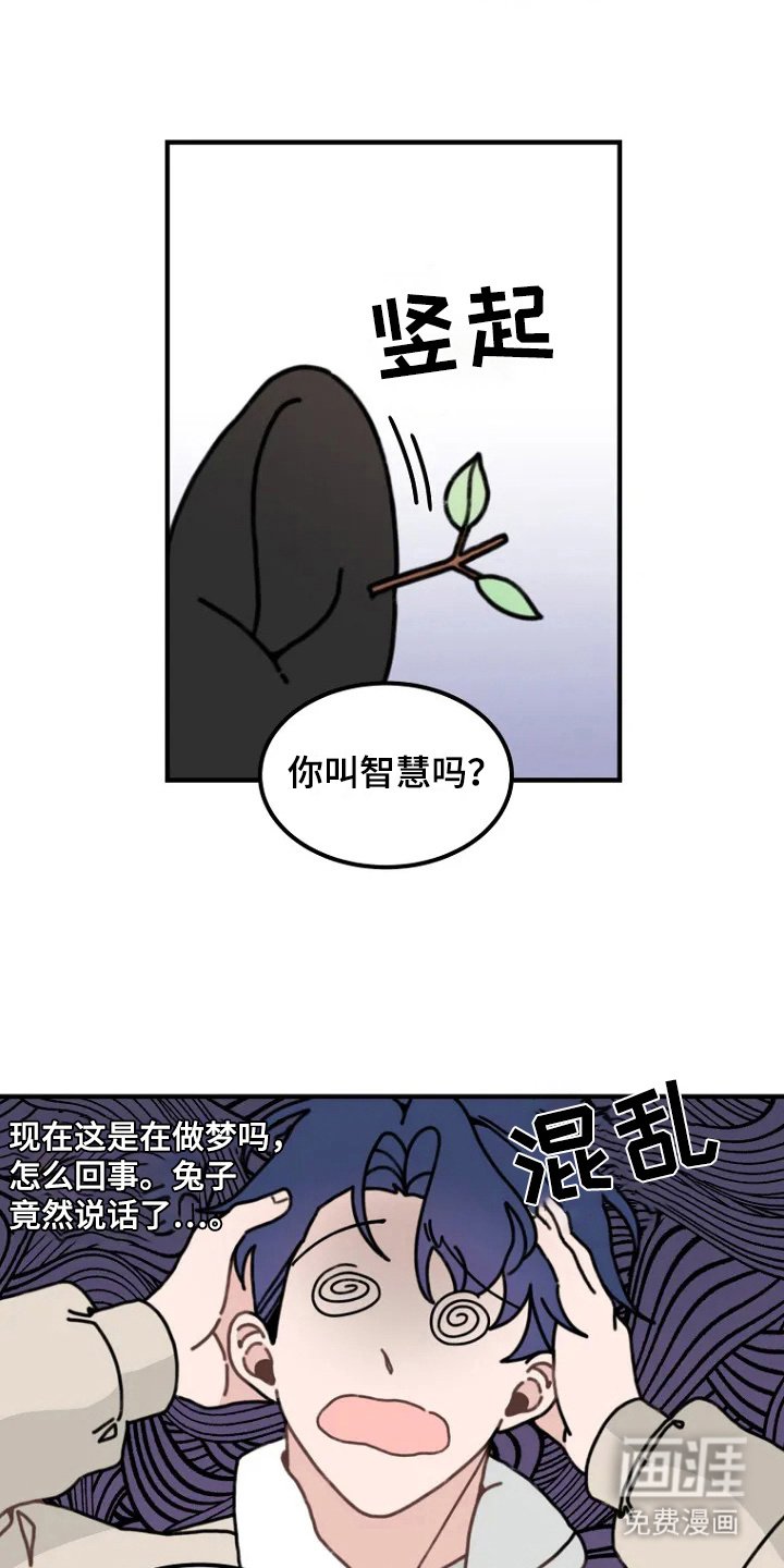 第2章：兔子