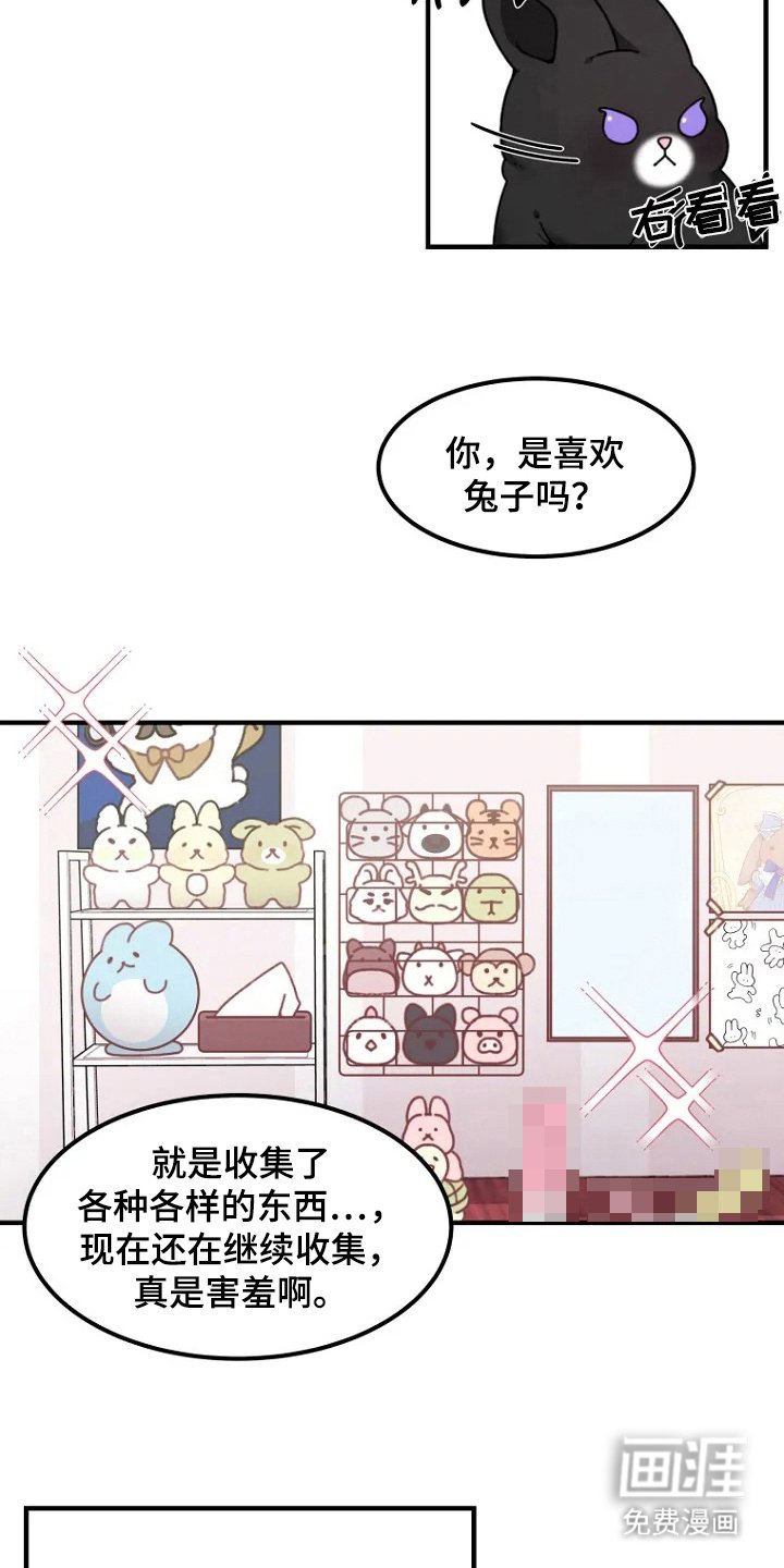 第2章：兔子