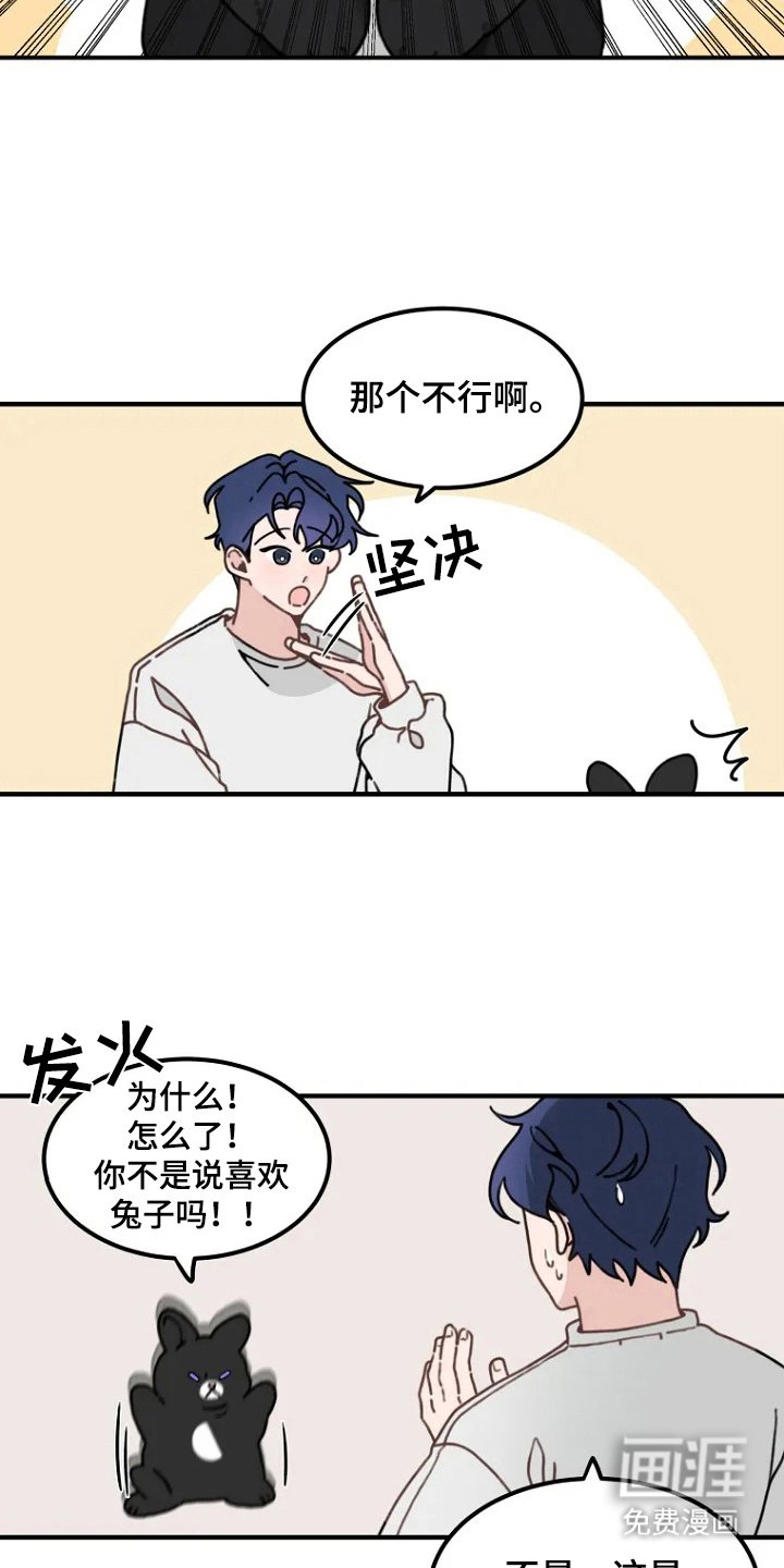 第2章：兔子