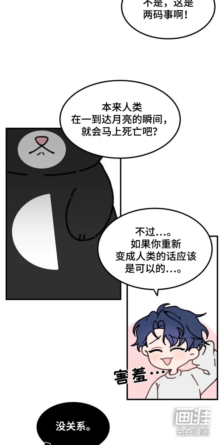 第2章：兔子