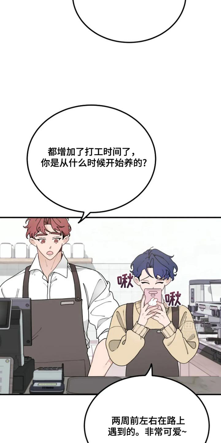 第22章：吃点蛋糕等我