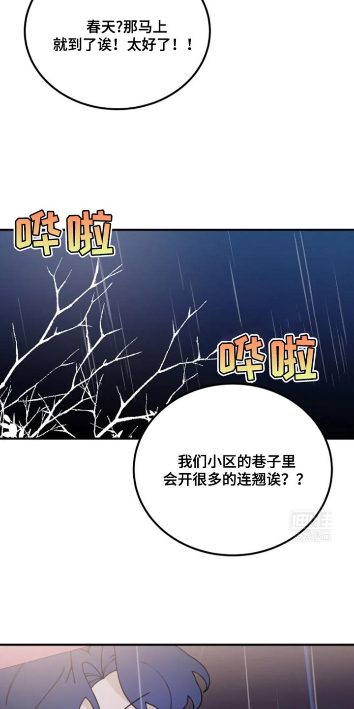 第23章：想要的礼物