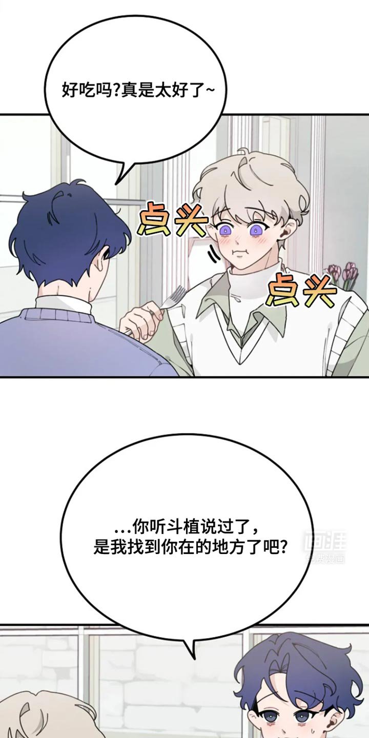 第26章：分开的原因