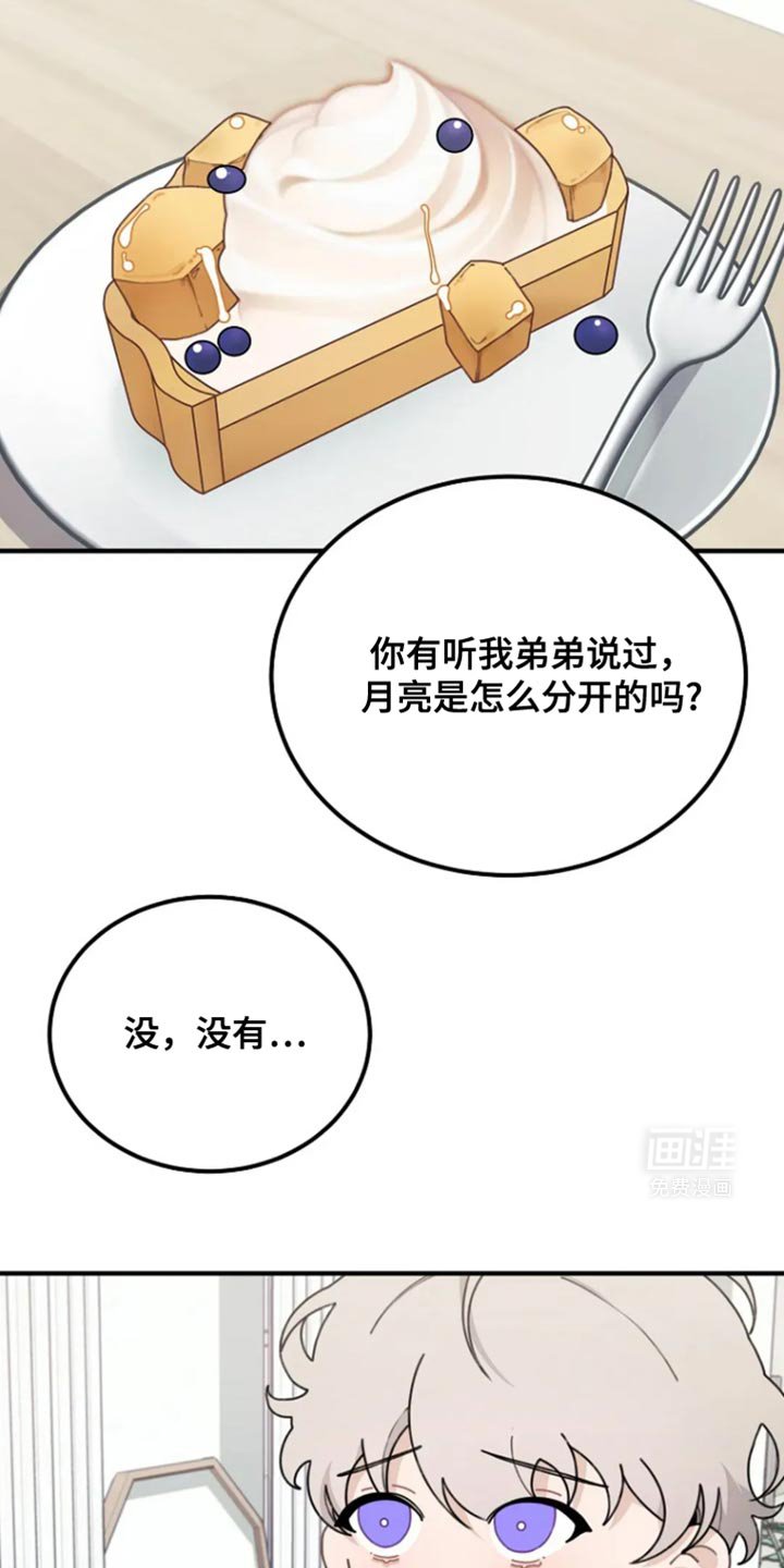 第26章：分开的原因
