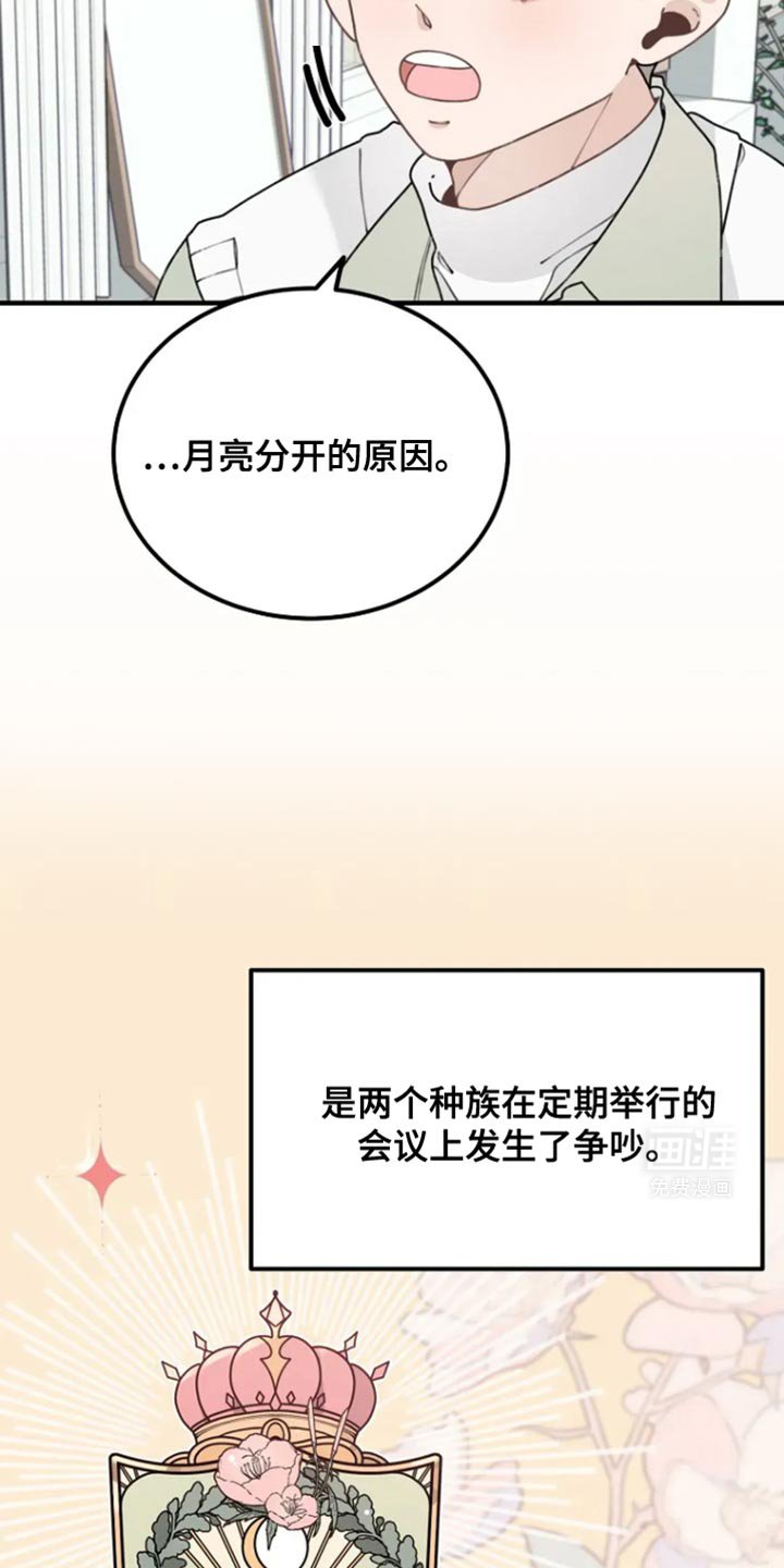 第26章：分开的原因