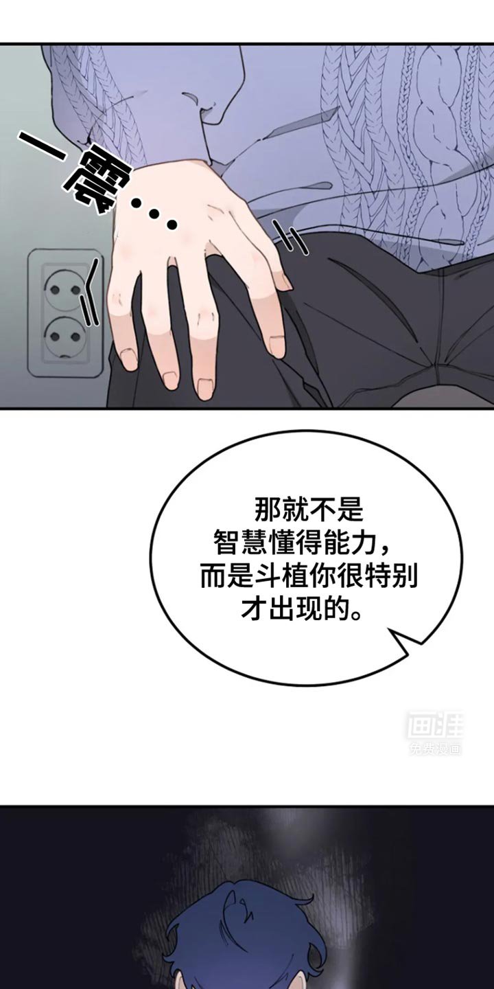 第28章：撒谎精