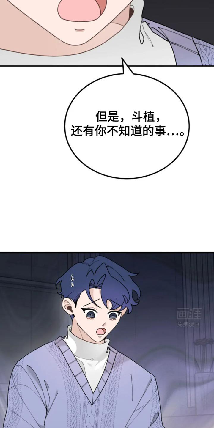 第28章：撒谎精