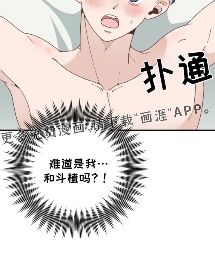 第31章：婚礼