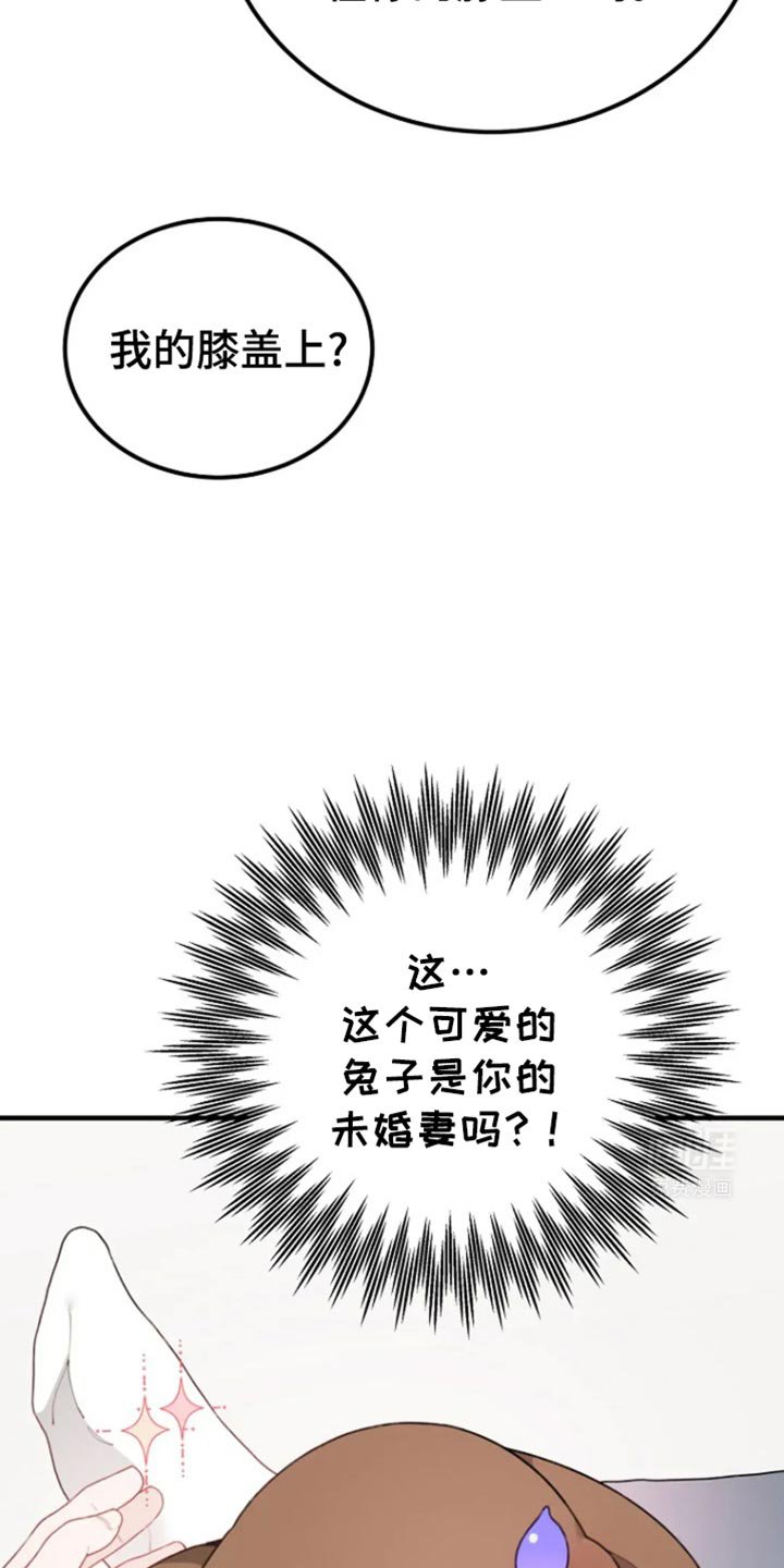 第32章：未婚妻