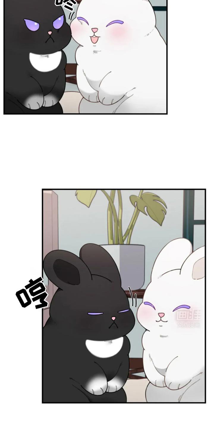 第33章：我回去了