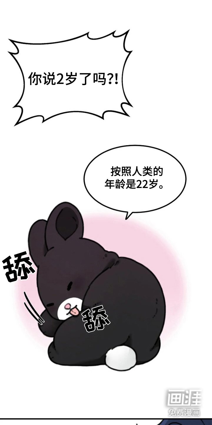 第6章：拔丝地瓜