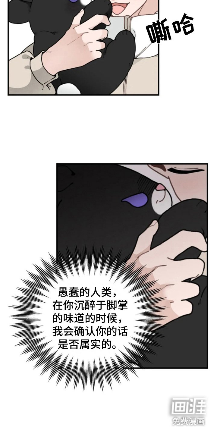 第8章：反思