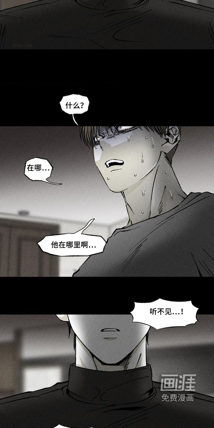 第43章：没有回应