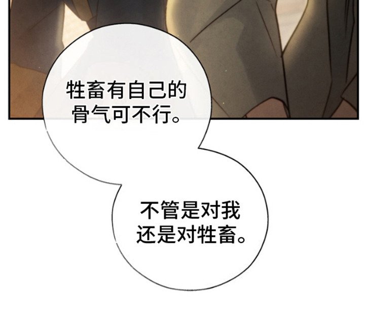 第14章：低声下气