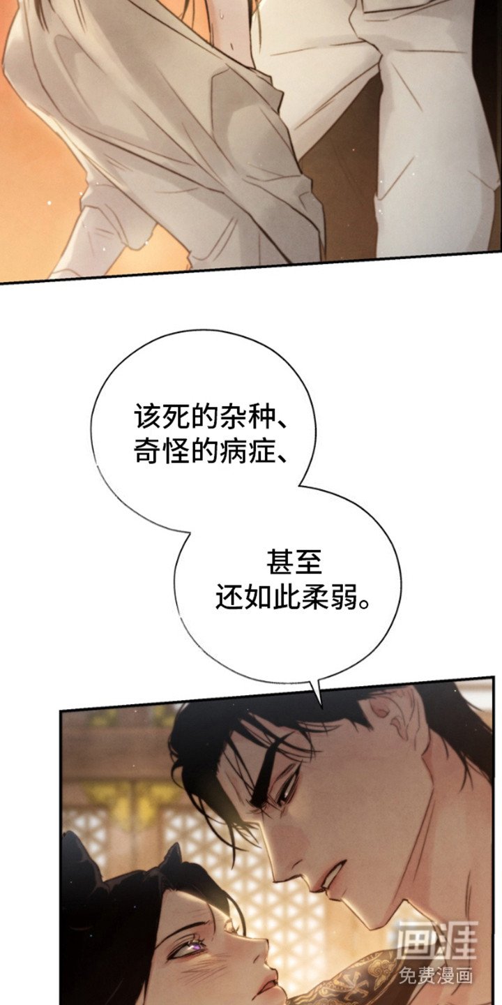 第26章：头晕目眩