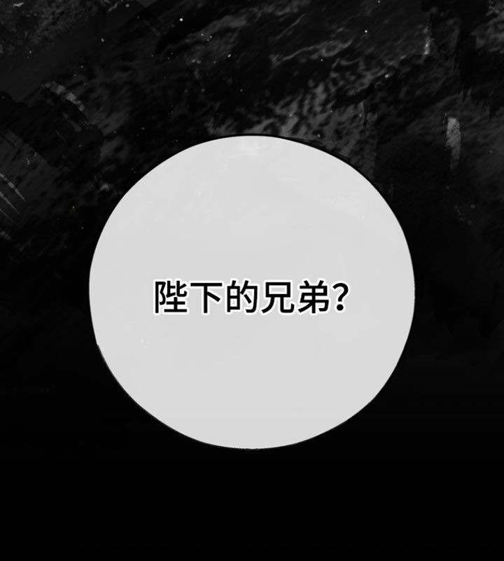第28章：兄弟