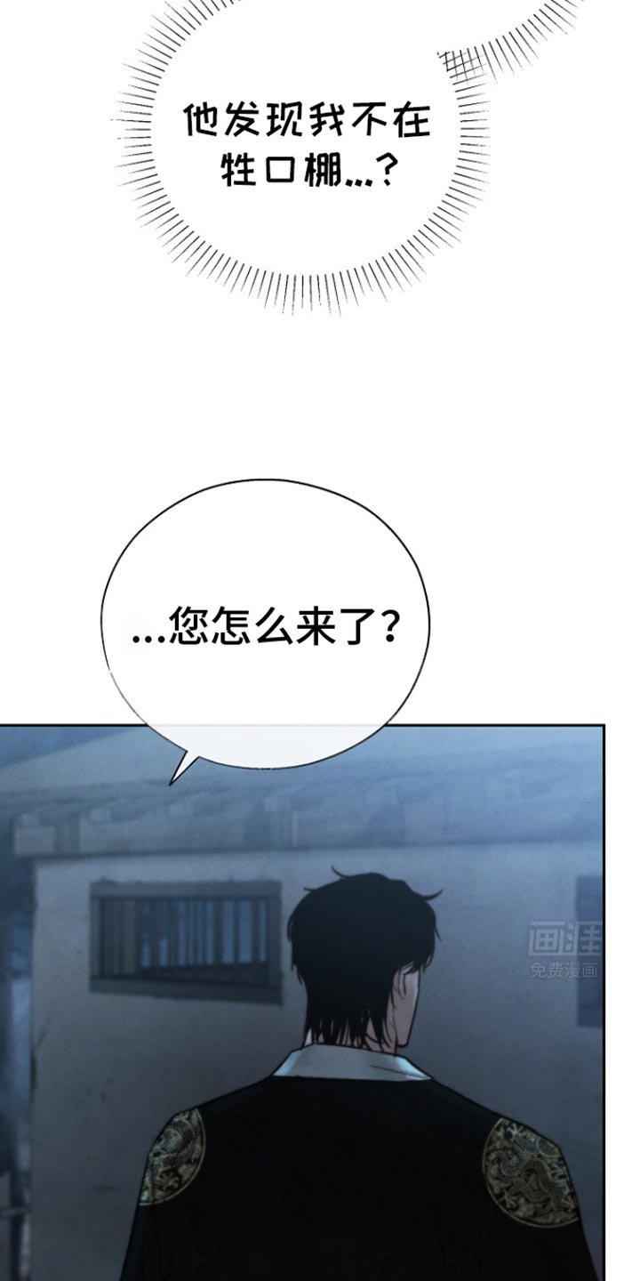 第34章：我现在很奇怪