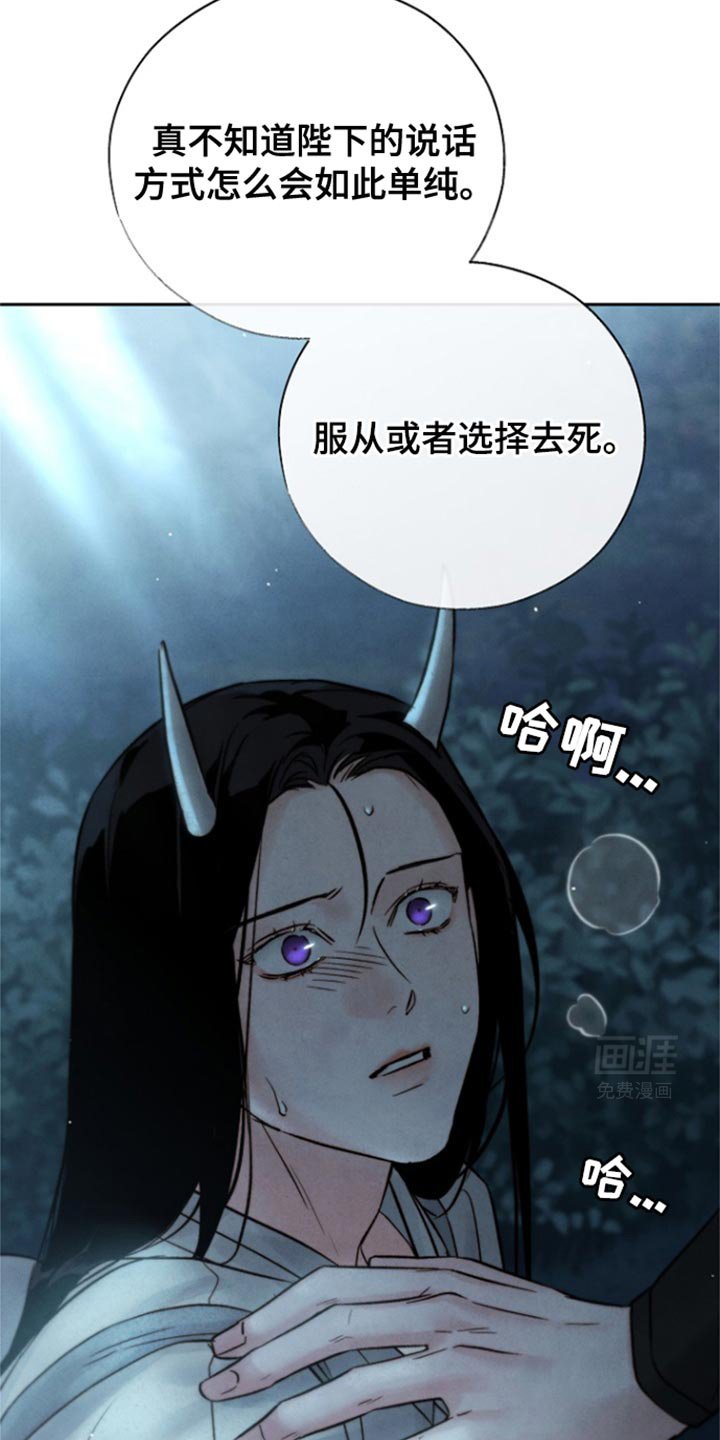第35章：因为华丽