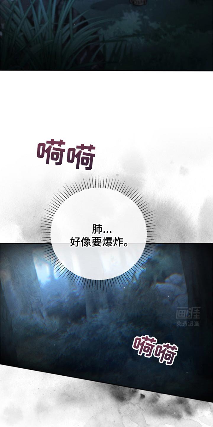 第36章：如你所愿