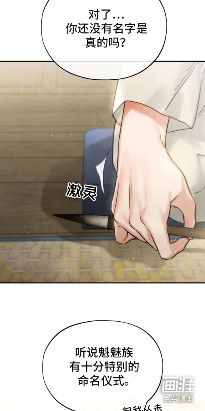 第7章：画像