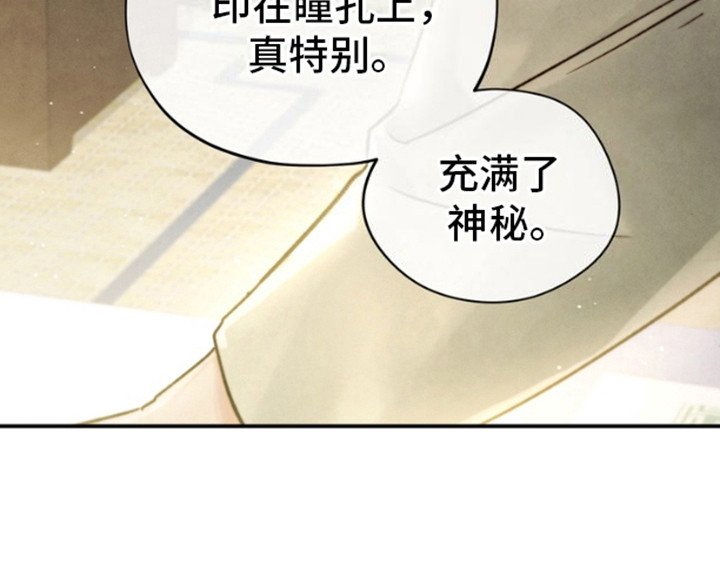 第7章：画像