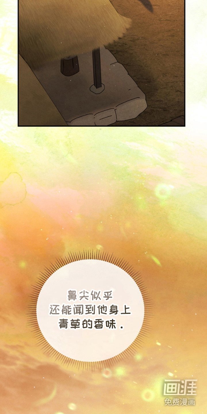 第7章：画像
