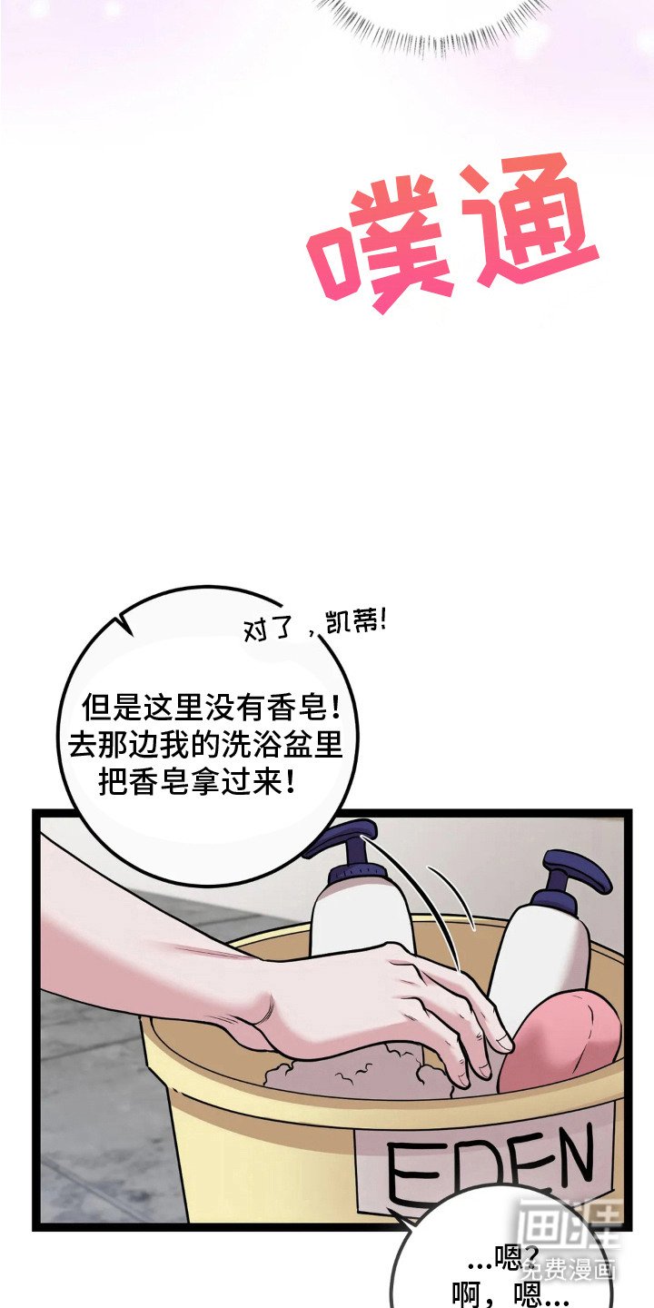 第15章：肥皂