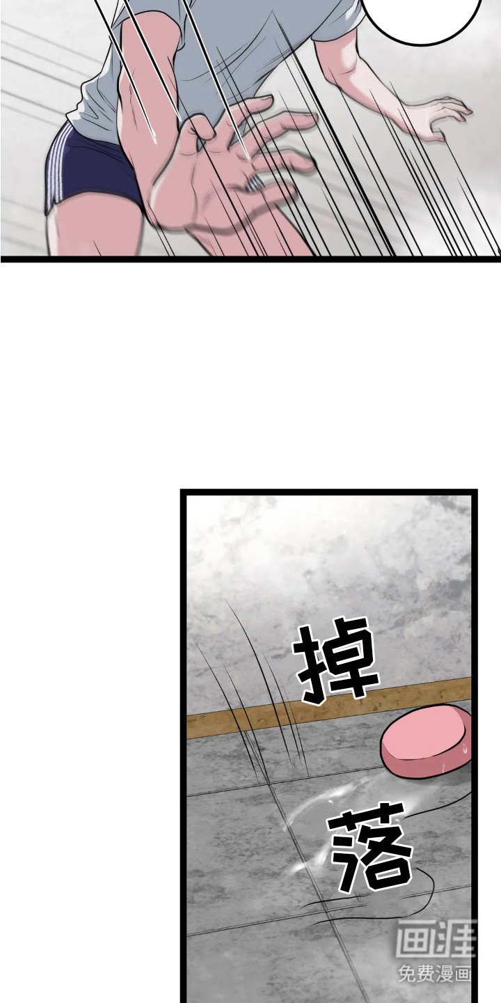 第15章：肥皂