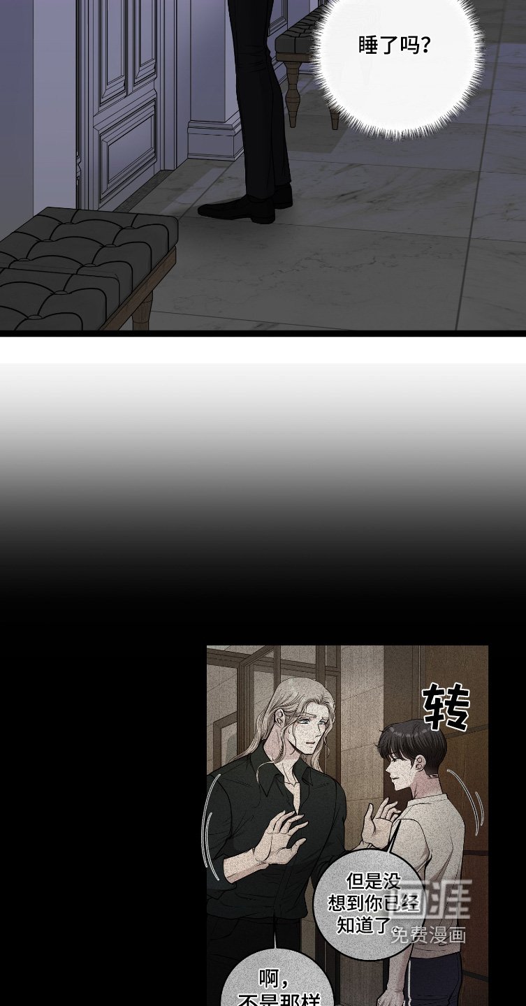 第63章：我算什么