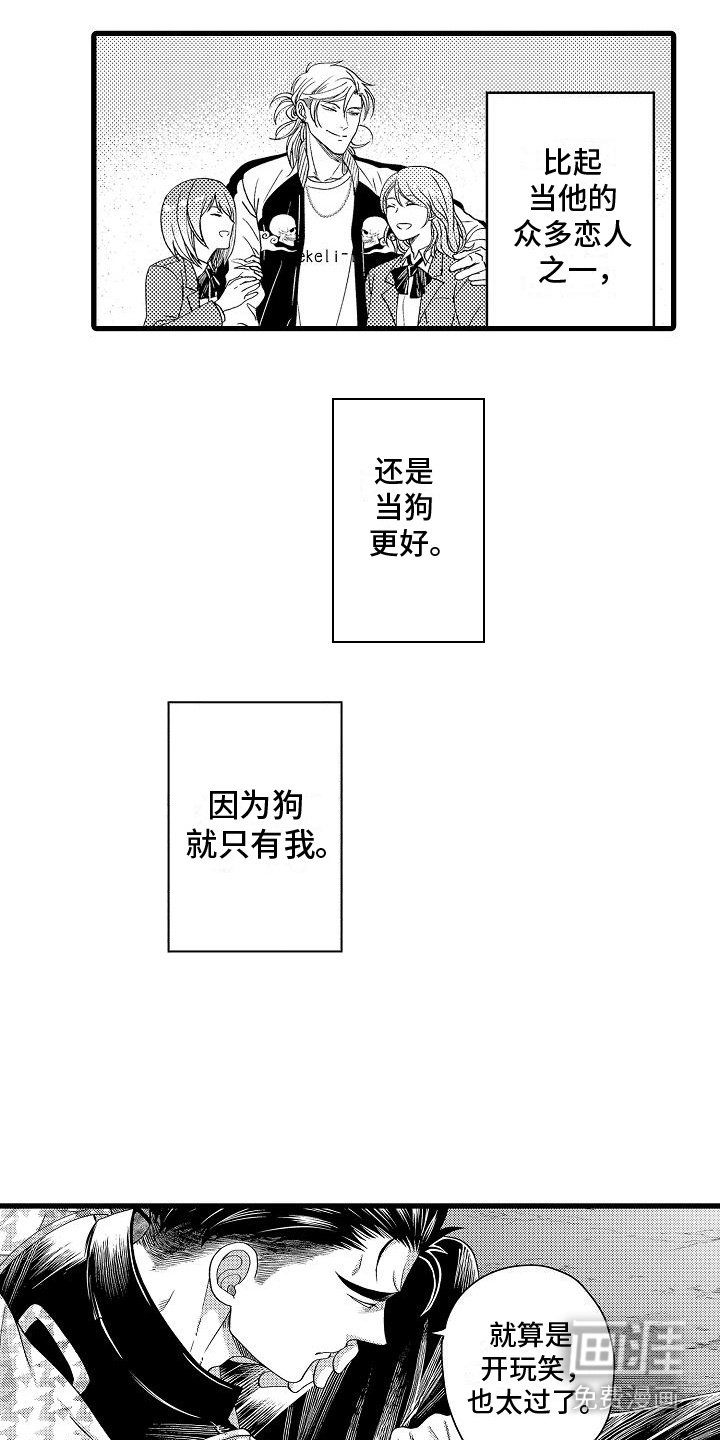 第13章：建议