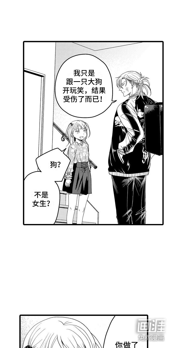第13章：建议