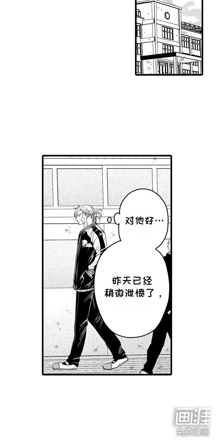 第13章：建议