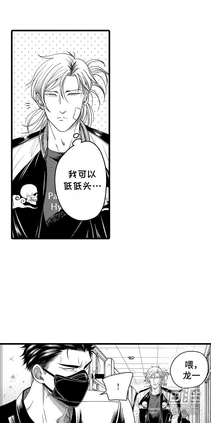 第13章：建议