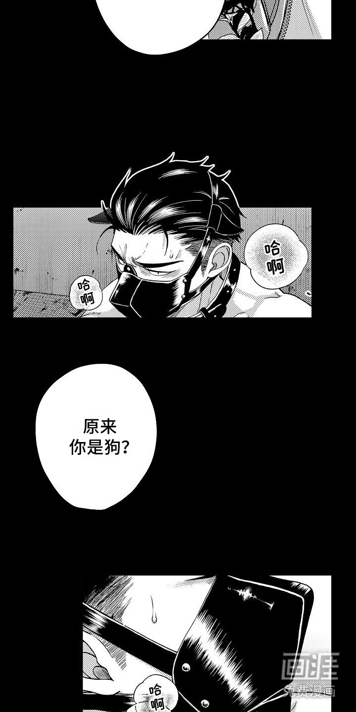 第4章：心跳加速