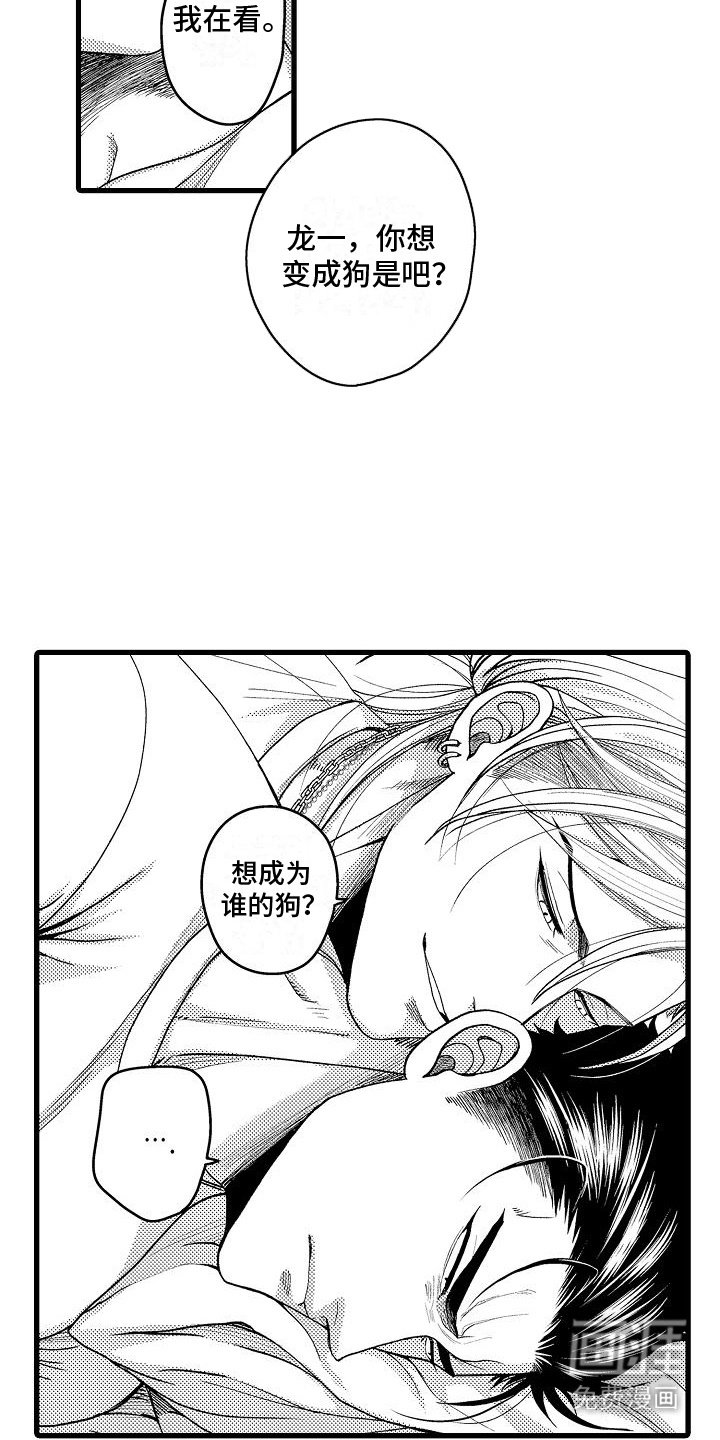 第7章：鉴赏