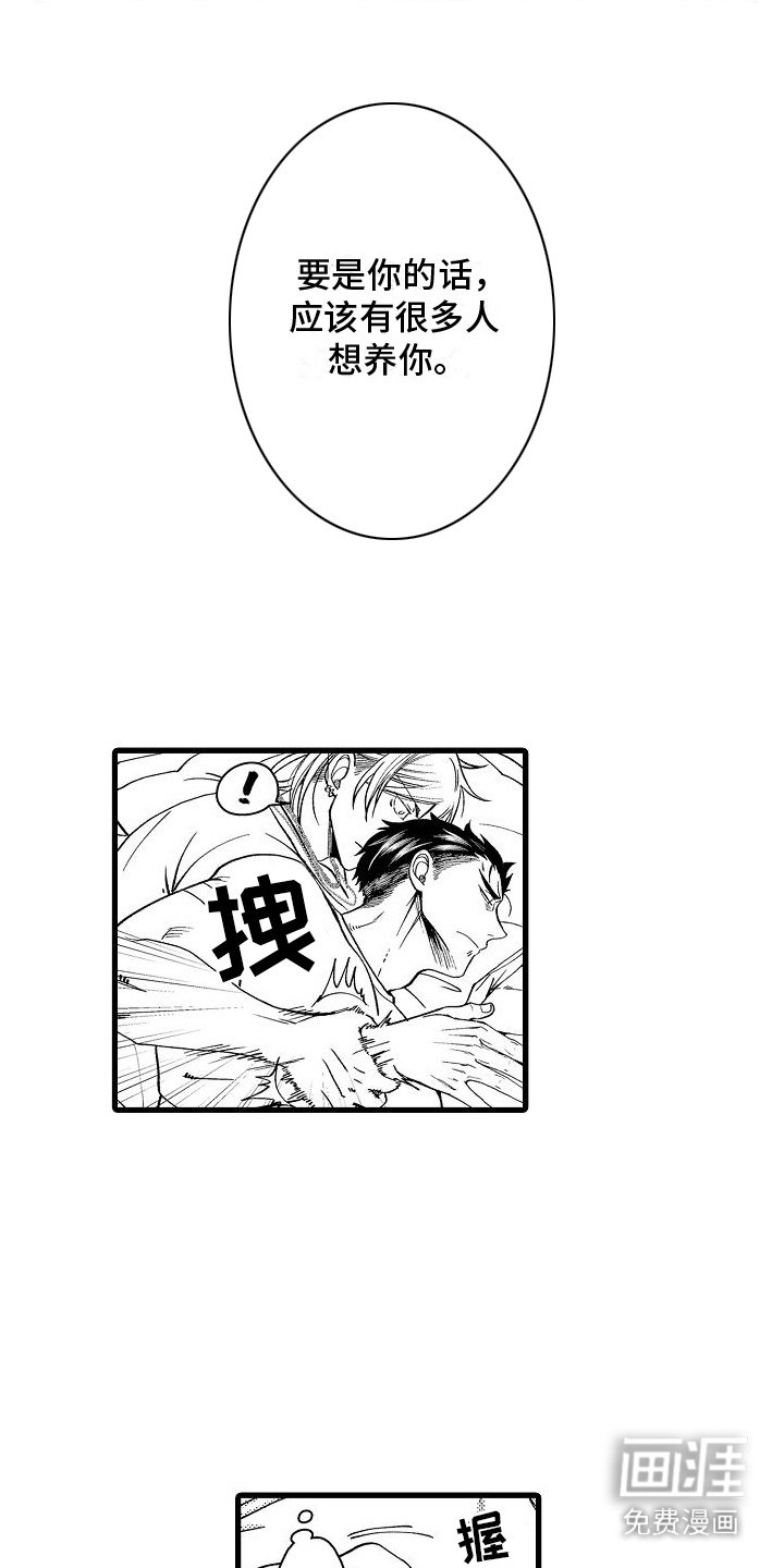 第7章：鉴赏