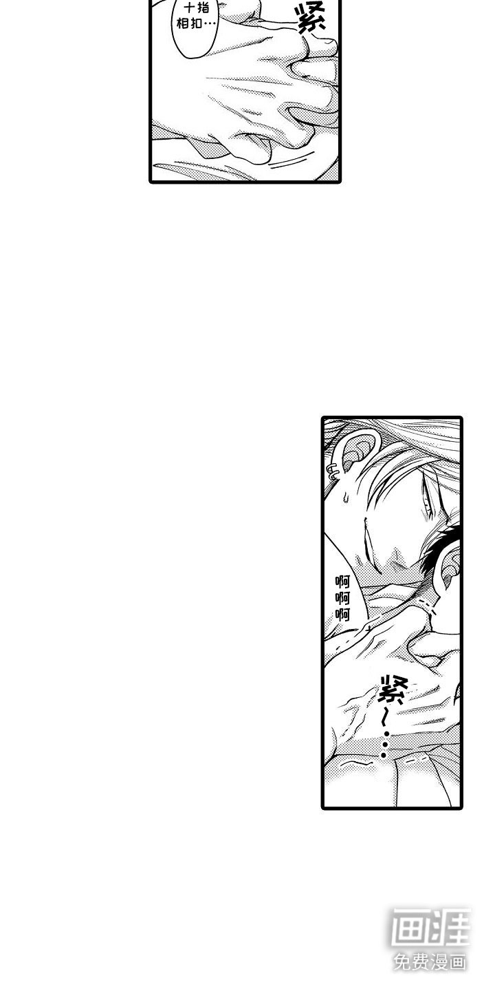 第7章：鉴赏