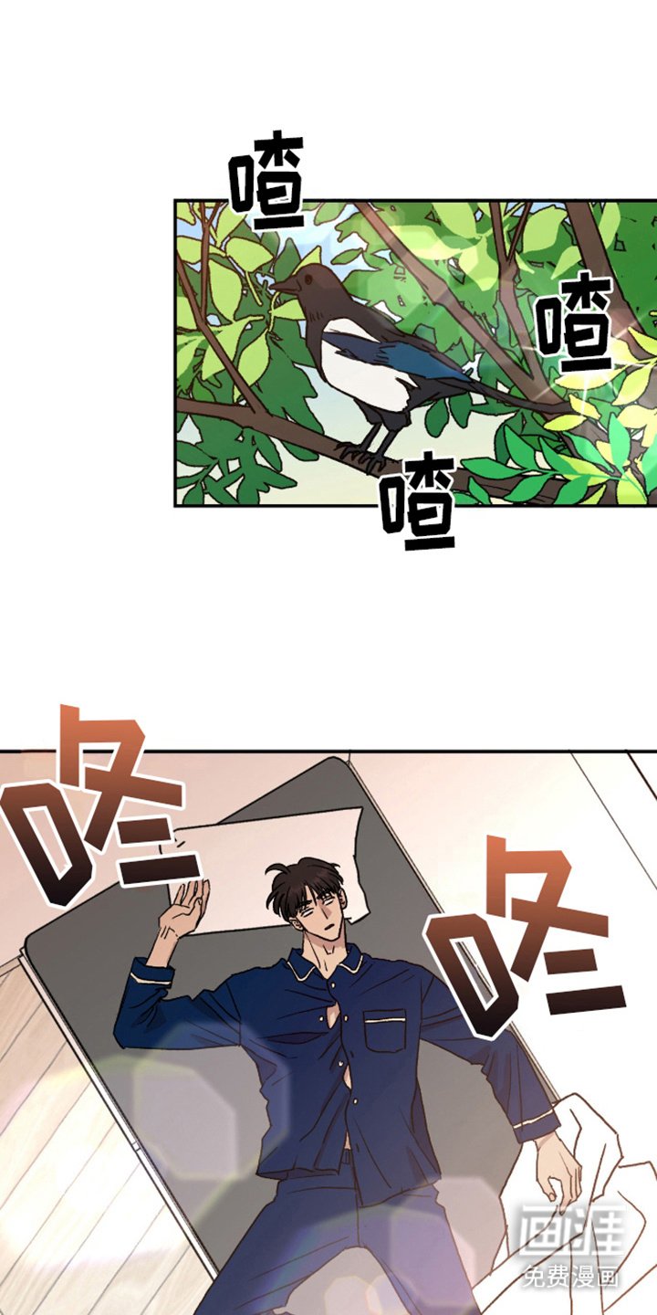 第13章：清醒