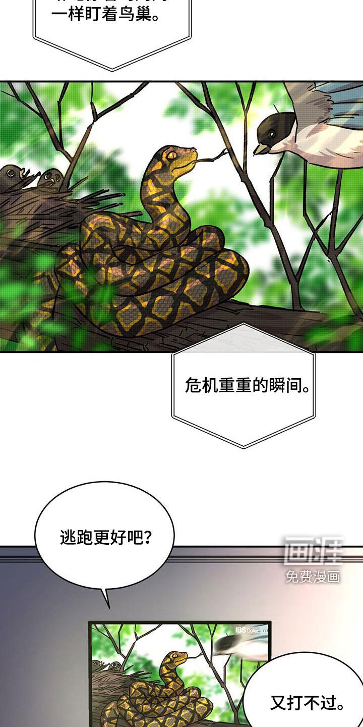 第29章：只是朋友