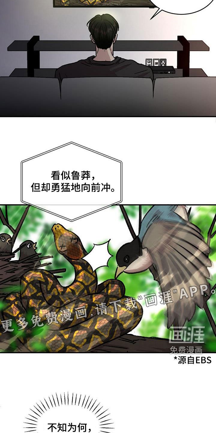 第29章：只是朋友