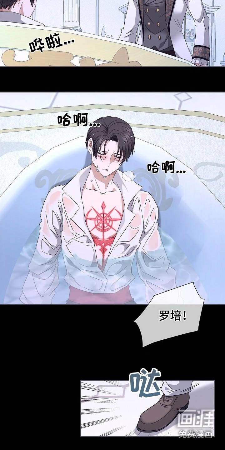 第17章：必须找到原因